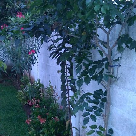Umaya Holiday Home Anuradhapura Luaran gambar