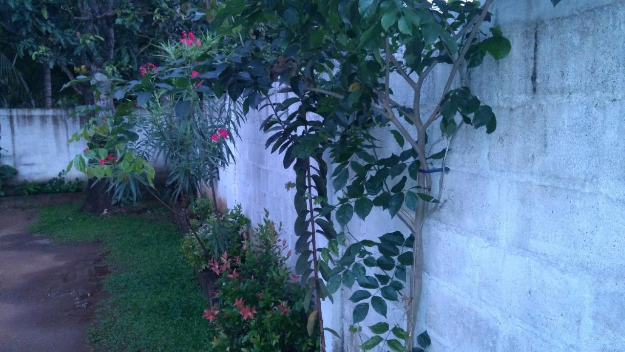 Umaya Holiday Home Anuradhapura Luaran gambar